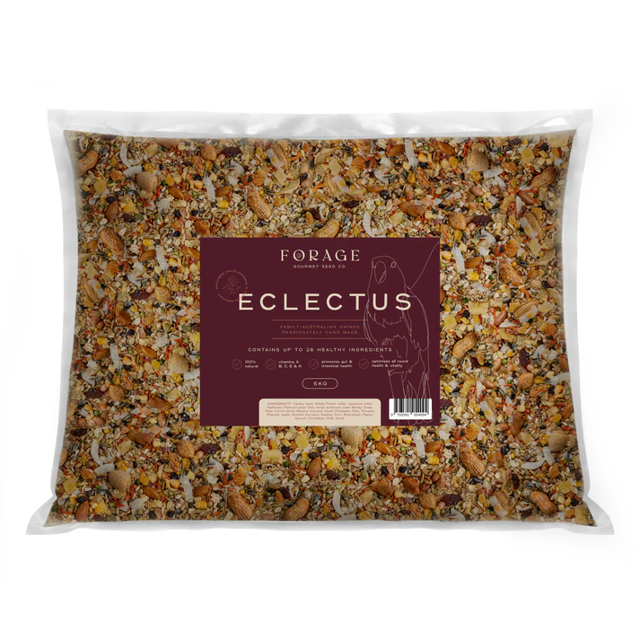 Forage Eclectus Mix-Seeds & Grains-Parrot Supplies Australia