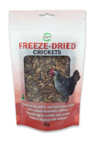 Freeze-Dried Crickets