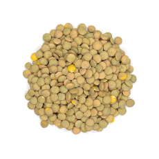 Lentils Green Whole-Parrot Supplies Australia