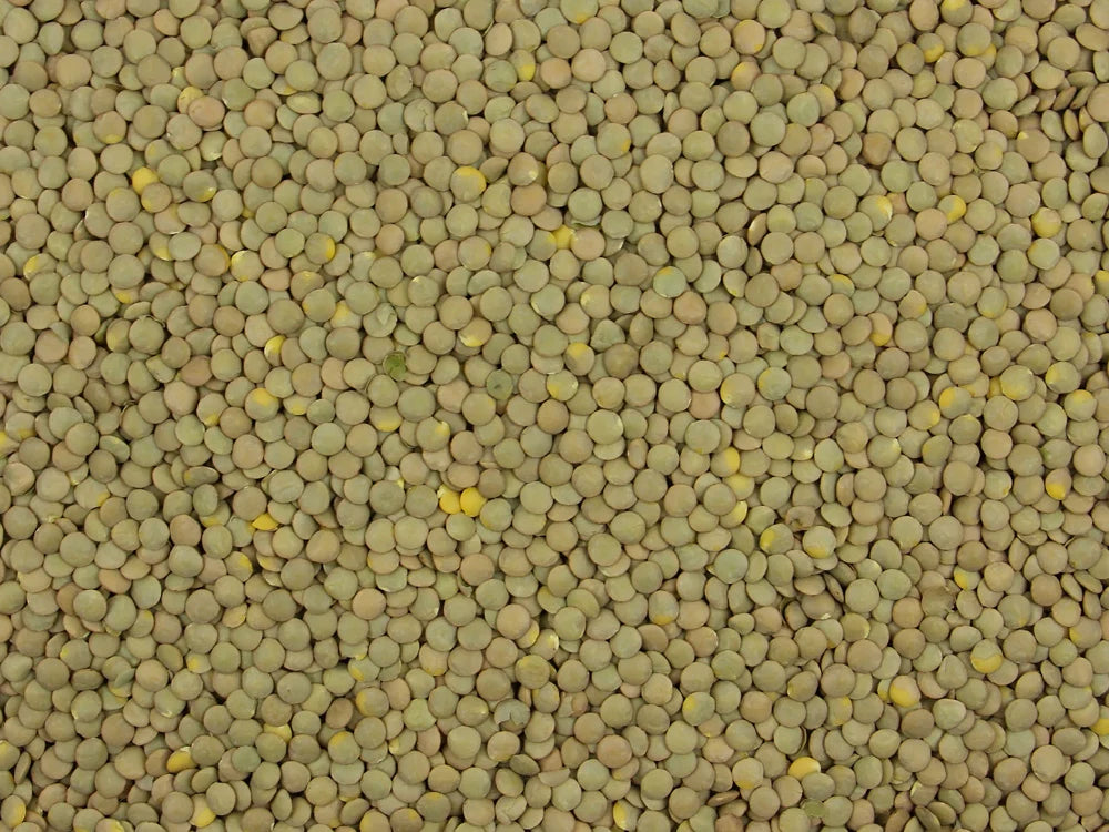 Lentils Green Whole-Parrot Supplies Australia