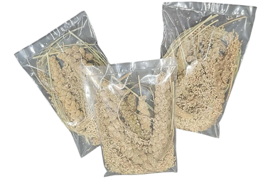 Mixed Millet Spray-Parrot Supplies Australia