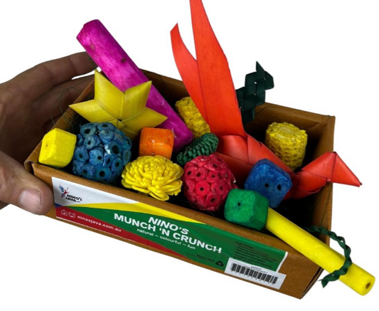 NJ Munch 'N Crunch Foraging Box