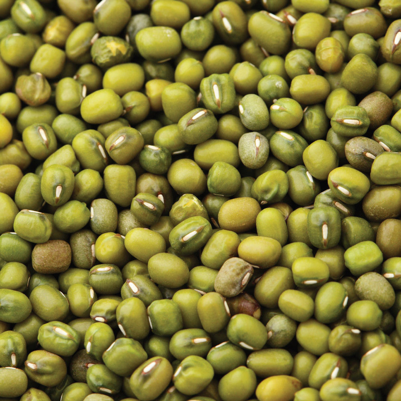 Mung Beans-Nuts & Legumes-Parrot Supplies Australia