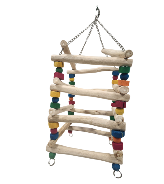 NJ Box Ladder-Parrot Supplies Australia