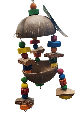 NJ Fruit Salad Forager-Parrot Supplies Australia