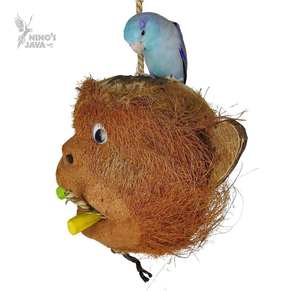 NJ Meet the Monkeys (XP)-Parrot Supplies Australia