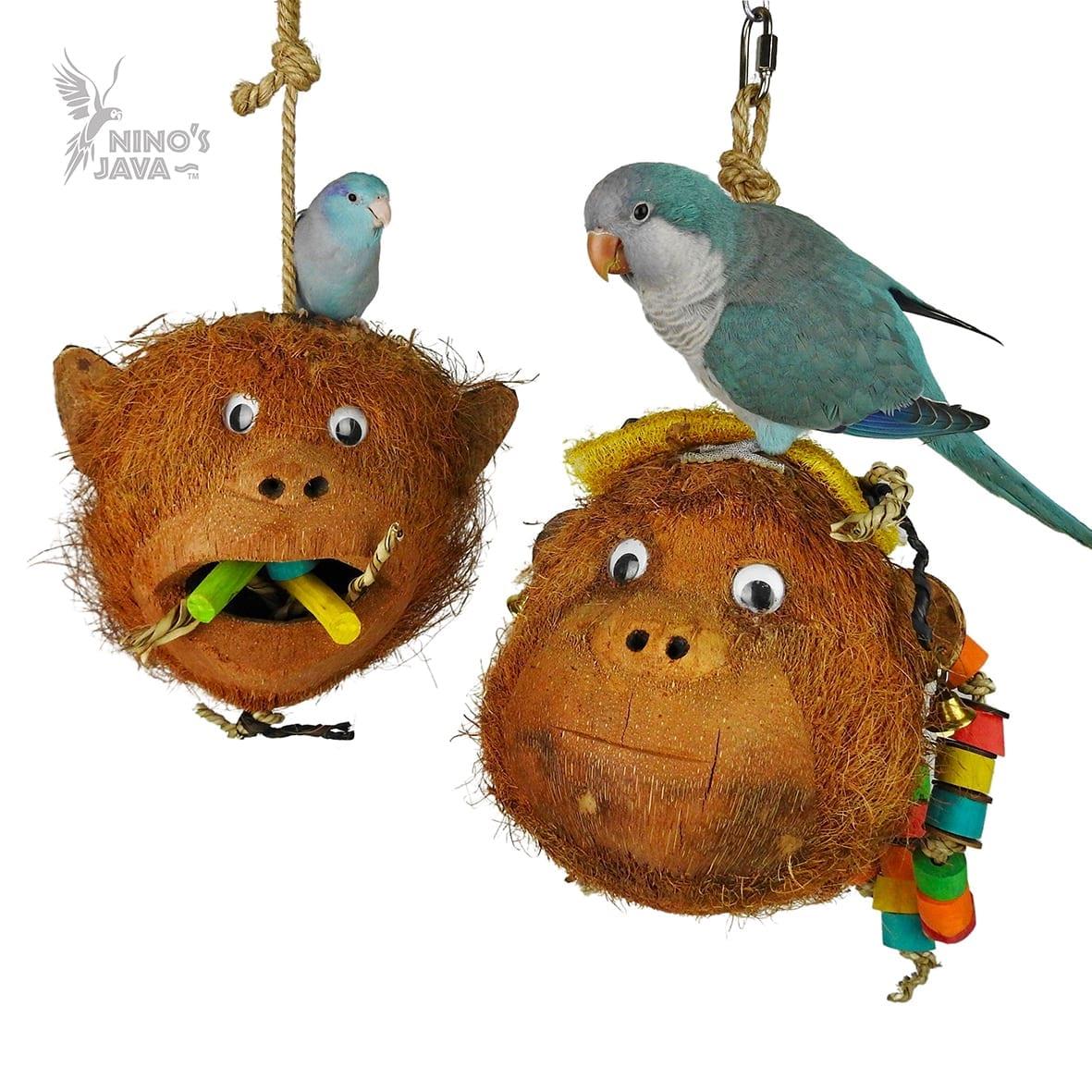 NJ Meet the Monkeys (XP)-Parrot Supplies Australia
