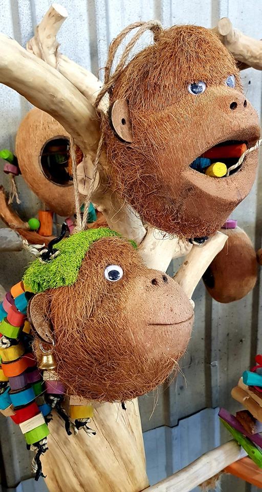 NJ Meet the Monkeys (XP)-Parrot Supplies Australia