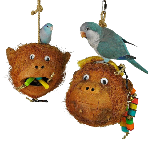 NJ Meet the Monkeys (XP)-Parrot Supplies Australia