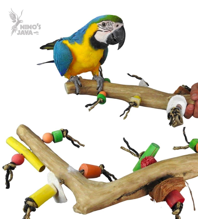 NJ Multi Branch Perch with Toys-Toys-Parrot Supplies Australia