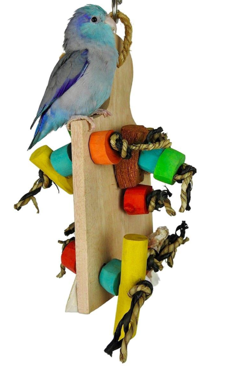 NJ Nik Nak-Parrot Supplies Australia