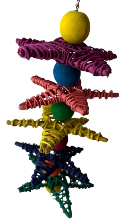 NJ Star Gazer-Parrot Supplies Australia