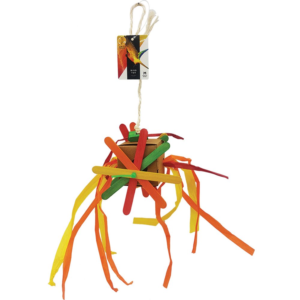 PP Foraging Treasure Box-Parrot Supplies Australia