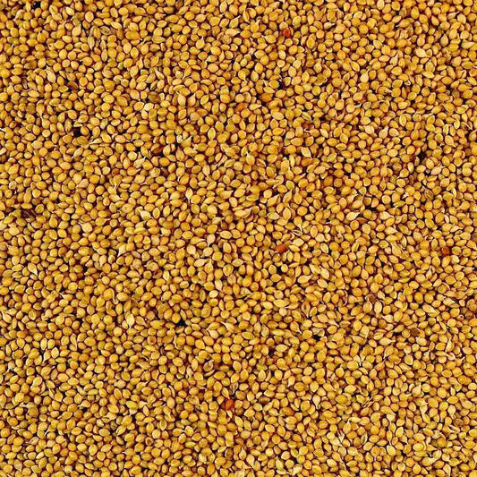 Panorama Millet-Seeds & Grains-Parrot Supplies Australia
