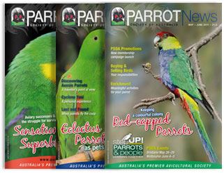 Parrot NEWS-Parrot Supplies Australia