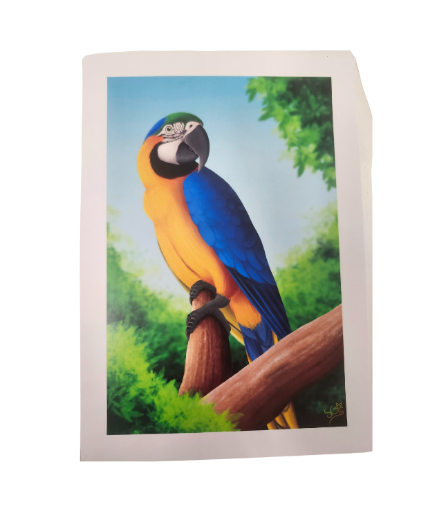 Parrot Prints-Other-Parrot Supplies Australia