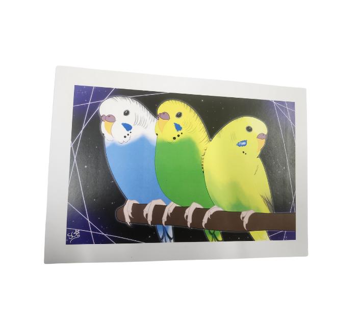 Parrot Prints-Other-Parrot Supplies Australia