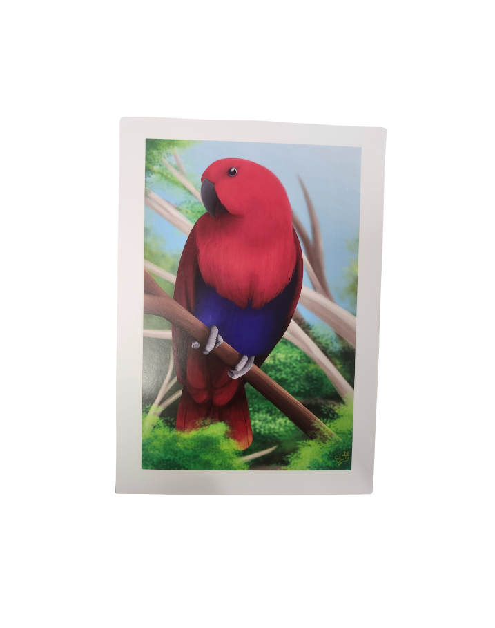 Parrot Prints-Other-Parrot Supplies Australia