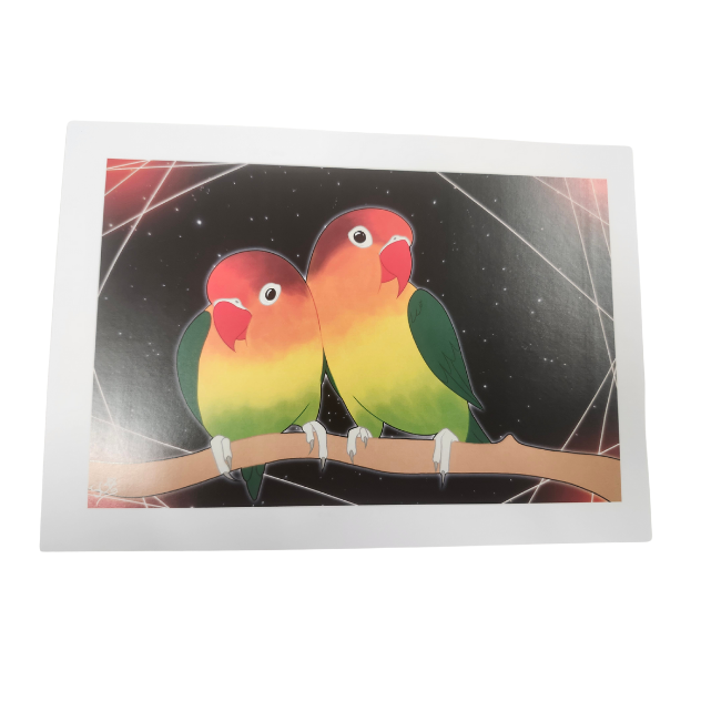 Parrot Prints-Other-Parrot Supplies Australia