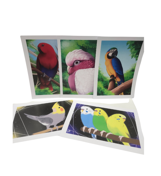 Parrot Prints-Other-Parrot Supplies Australia