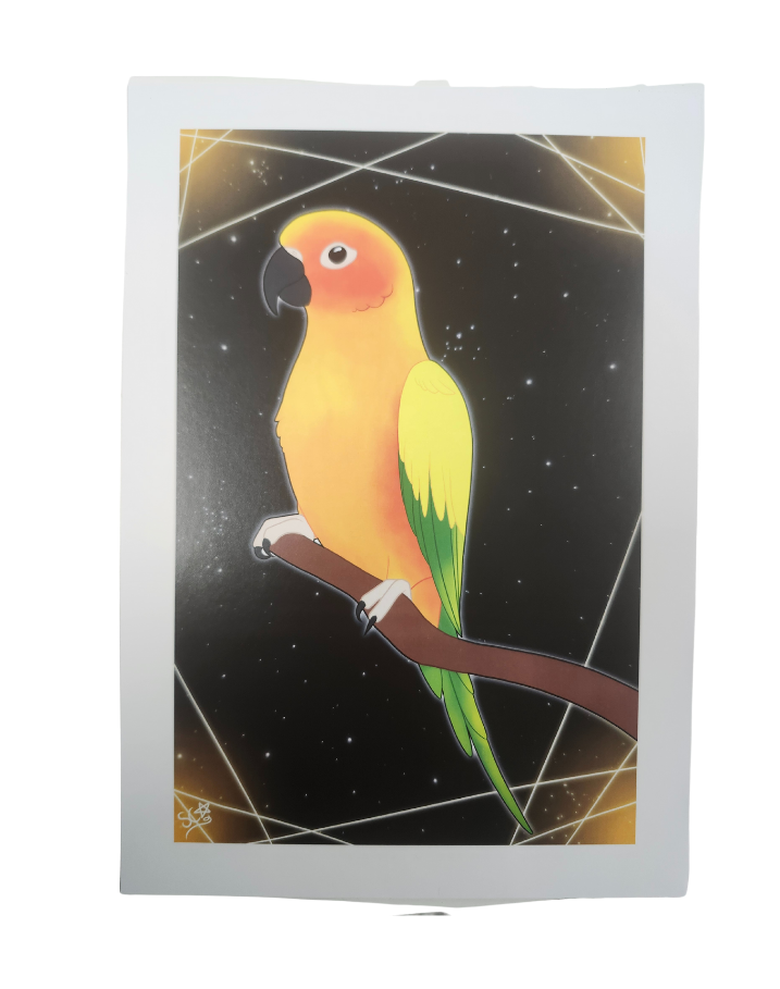 Parrot Prints-Other-Parrot Supplies Australia