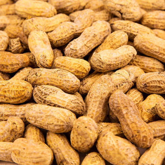 Peanuts - Raw-Nuts & Legumes-Parrot Supplies Australia