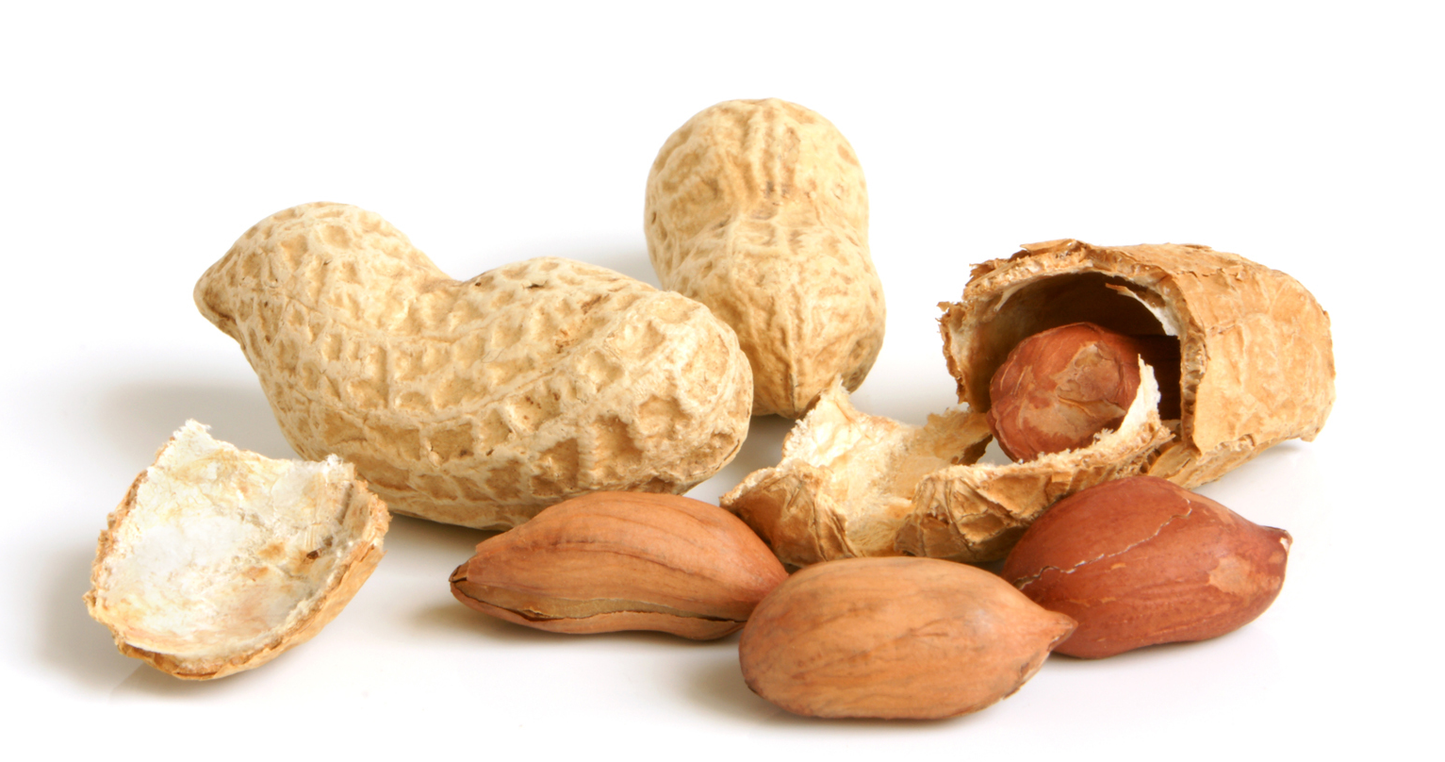 Peanuts - Roasted-Nuts & Legumes-Parrot Supplies Australia