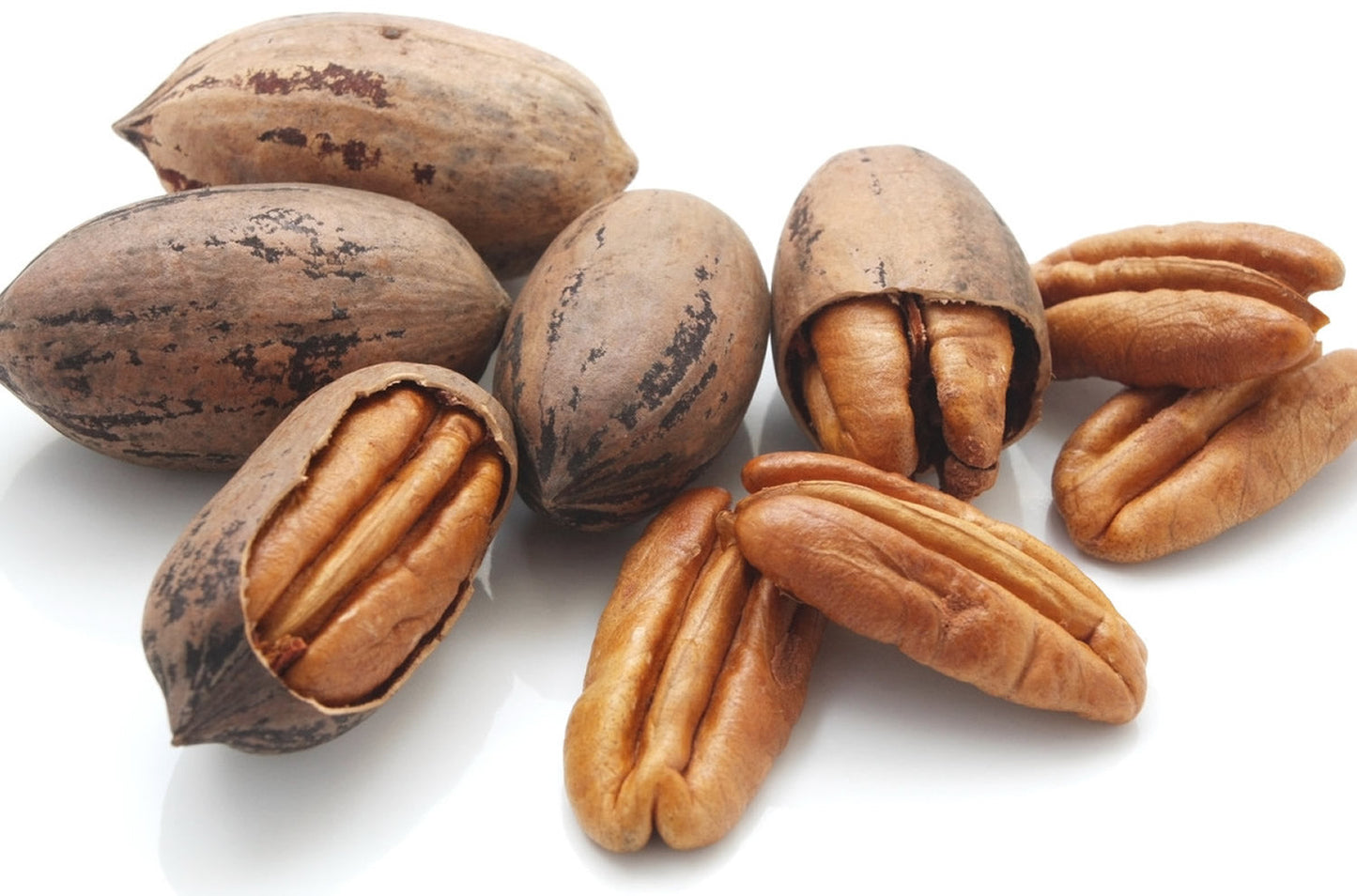 Pecans - In Shell-Nuts & Legumes-Parrot Supplies Australia