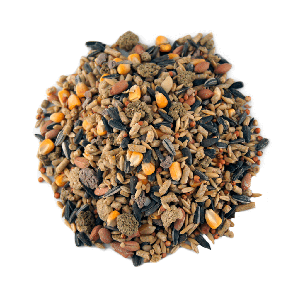 Peckish Large Parrot Seed 5kg
