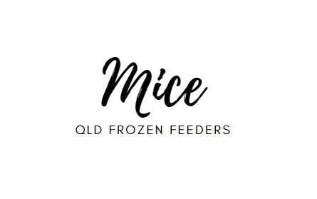 QFF Feeder Mice