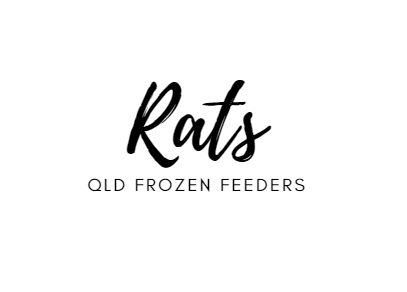 QFF Feeder Rats