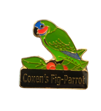 Coxen's Fig Parrot Conservation Pin