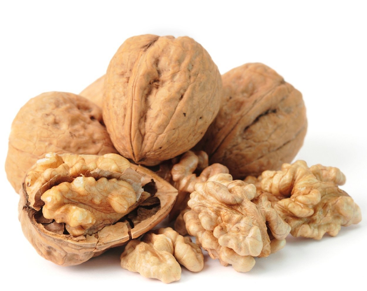 Walnuts - In Shell-Nuts & Legumes-Parrot Supplies Australia