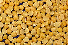 Yellow Split Peas 1kg-Parrot Supplies Australia