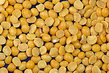 Yellow Split Peas-Parrot Supplies Australia