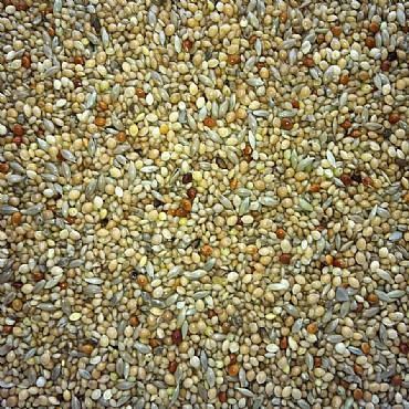 Finch Blue-Seeds & Grains-Parrot Supplies Australia