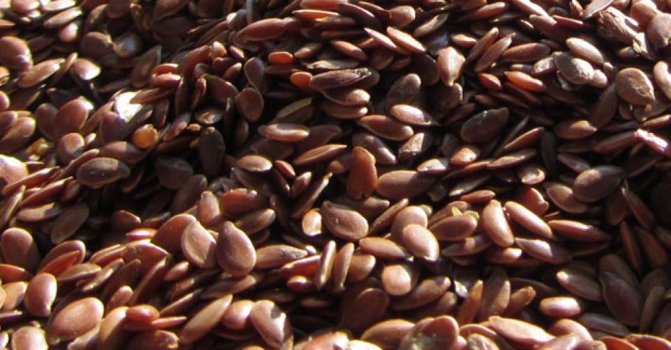 Cod Linseed Linseed β Parrot Supplies Australia
