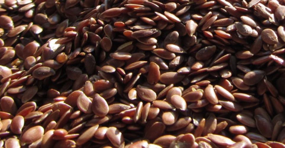 Linseed-Seeds & Grains-Parrot Supplies Australia