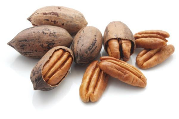 Mixed Nuts - In Shell-Nuts & Legumes-Parrot Supplies Australia