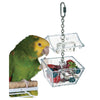 Parrot's Treasure