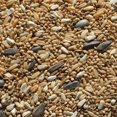 Small Parrot Mix-Seeds & Grains-Parrot Supplies Australia