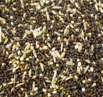 Tonic Mix-Seeds & Grains-Parrot Supplies Australia